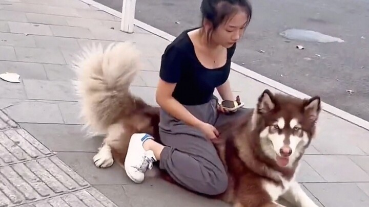 Lapangan tempat anjing dipukuli, kayak waktu kita masih kecil dulu...