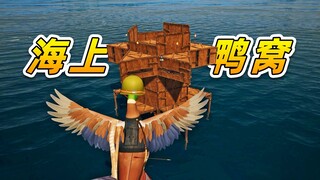 I am at sea, trying hard to build a nest!