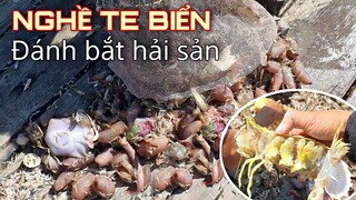 Ra Khơi bắt toàn con ''ĐỒN ĐỘT'' và Cặp Tôm Tích Siêu To | Ngư Dân Miền Tây