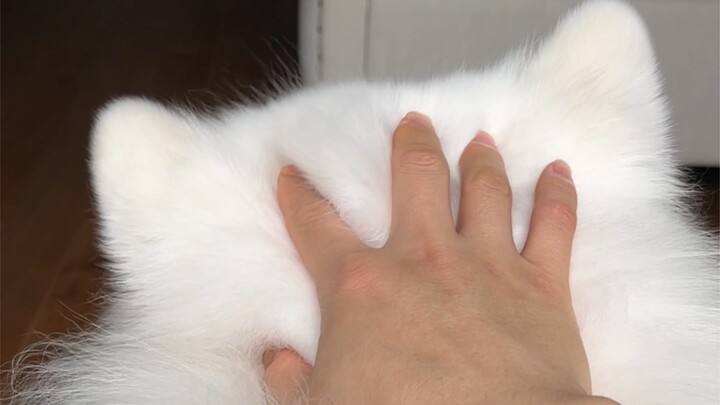 لماذا أتأخر دائمًا عن العمل؟ الآن عرفت السبب!