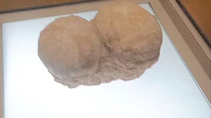 Homo muda menjelajahi museum, tapi malah canggung