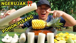 MUKBANG RUJAK SAMBAL PEDAS POHON PISANG + MANGGA MUDA + NANAS MUDA + JAMBU AIR + SAMBAL PEDAS