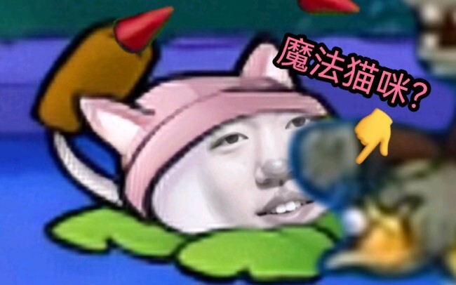 ความเจ็บปวดของแมวน้อยเวทมนตร์