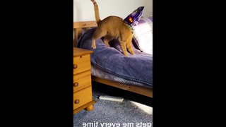 ใครปิดไฟ