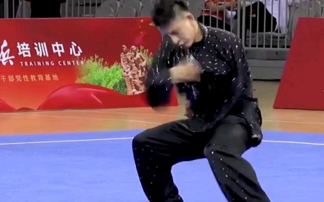 Tai Chi Champion