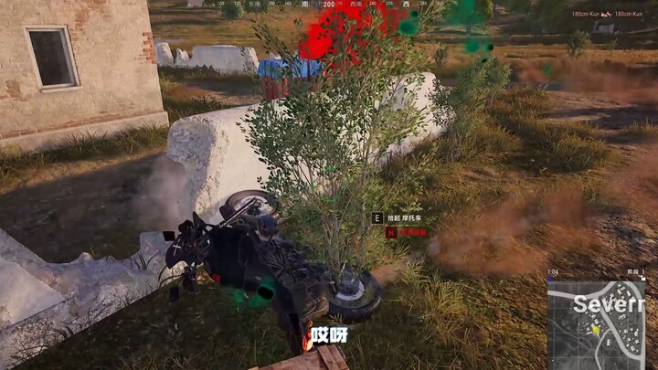 顶  级  走  胃