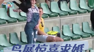 陪男友去看鸟展，没想到是策划的求婚