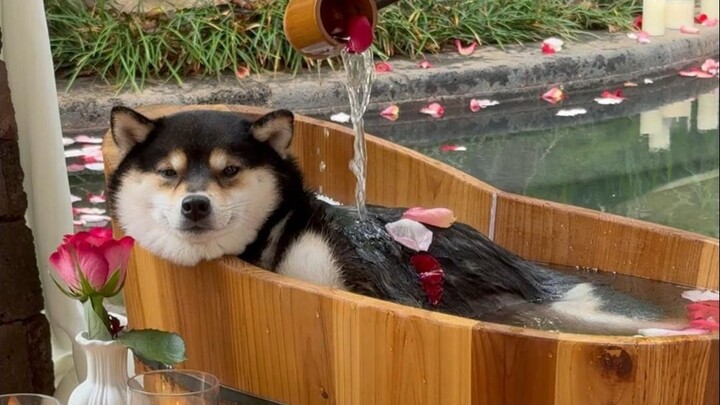 Hari Spa Air Panas Man Yu