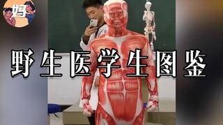 【野生人类图鉴】快跑！别学医！