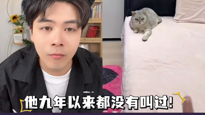 แมวที่ไม่ได้ร้องเรียกมา 9 ปี? แปลภาษาน้องเหมียวได้แบบชิลๆ!