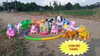 con bò, con trâu, con bò sữa, con chó, các con vật dễ thương, cow co,