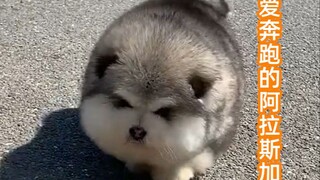 When you're in a bad mood, you can take a look at this.