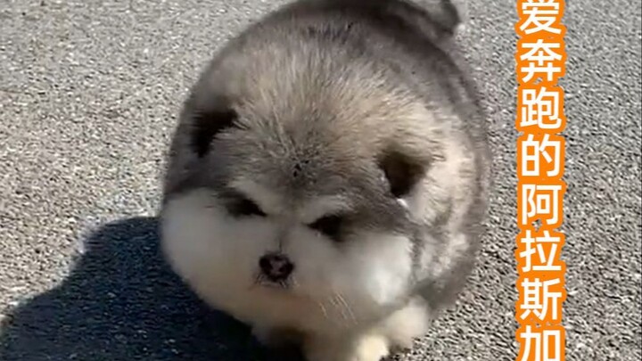 เมื่อคุณรู้สึกไม่ดี คุณสามารถดูสิ่งนี้ได้