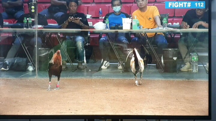 Joe Black at Manila Arena