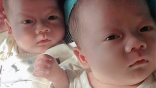 团圆子第一次见新生儿宝宝，是一次有意思的体验！