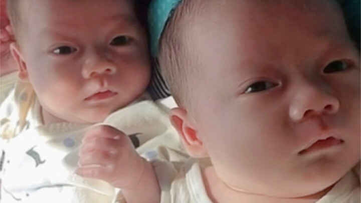 团圆子第一次见新生儿宝宝，是一次有意思的体验！