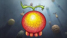 INI DIA BUAH IBLIS TERKUAT YANG PALING DI TAKUTI GOROSEI DAN IMSAMA DI DUNIA ONE PIECE!!?😱