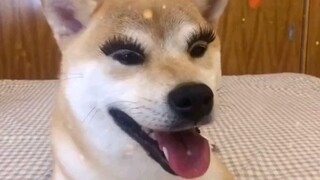 These few seconds need a lifetime to heal.