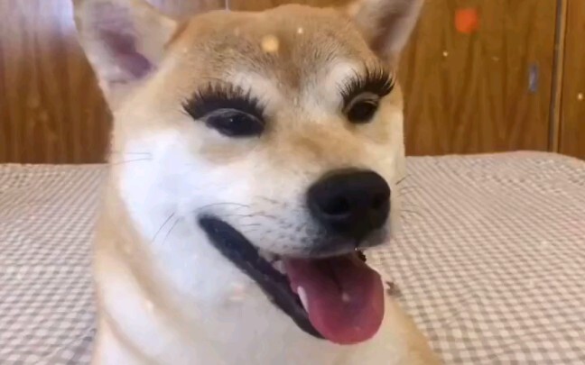 These few seconds need a lifetime to heal.