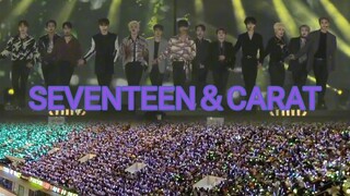 SEVENTEEN✘CARAT=《الصفحة الرئيسية》