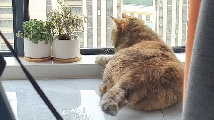 Dad, I just love hanging out with flies!