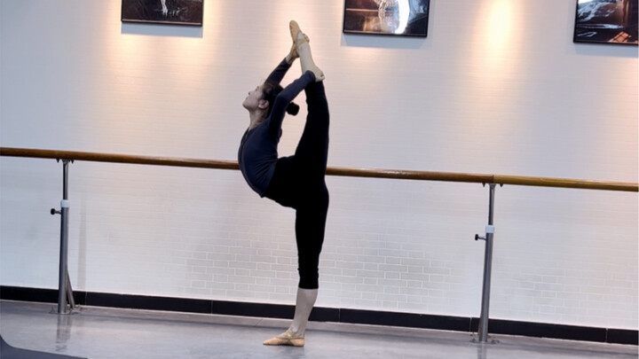 Dance Soft Opening | The evolution of the hind legs from scratch for adults