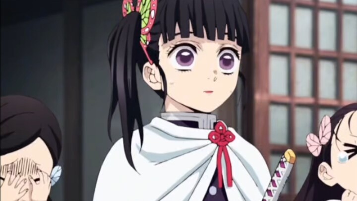 The Chibi Knight Girl Setting of Kanao from Demon Slayer