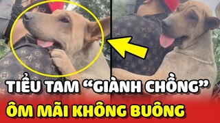 Khi Boss trở thành TIỂU TAM cứ ÔM CHỒNG SEN mãi không buông 😂 | Yêu Lu