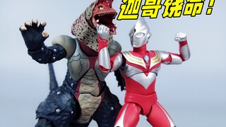 Golzan's nightmare! Dagu’s happiness! Real bone carving Tiga powerful type unboxing-Liu Ge Mowan