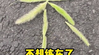 不想练车了，我要回家