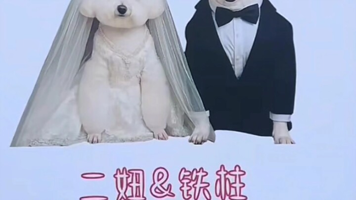 (ملف مُضاف) يان ووشي (تم تعديل المحتوى بالكامل)