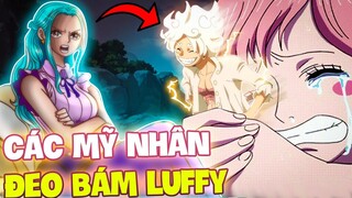 NHỮNG MỸ NHÂN LUÔN BÊN CẠNH LUFFY?! | NHỮNG CÔ NÀNG ĐẾN NAY VẪN HỖ TRỢ LUFFY MŨ RƠM?!