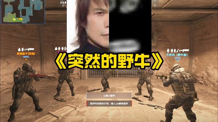 "Con trâu hoang bất ngờ"