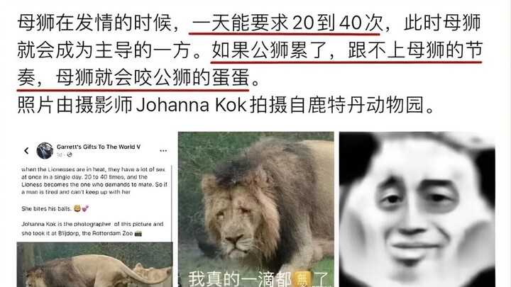 ☀50 ภาพมีมสุดฮาที่ทำให้คนหัวเราะจนค้างไว้แล้ว☀