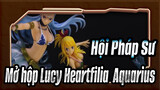 [Hội Pháp Sư]Mở hộp Lucy Heartfilia và Aquarius -TSUME HQF