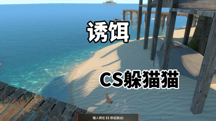CS2 Hide and Seek: Decoy