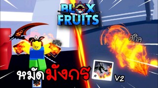 1วันใน Blox Fruits 👑ทำหมัดมังกร V2 เสกบอสตีคนเดียว 5 ตัว ![อัพเดท 16]