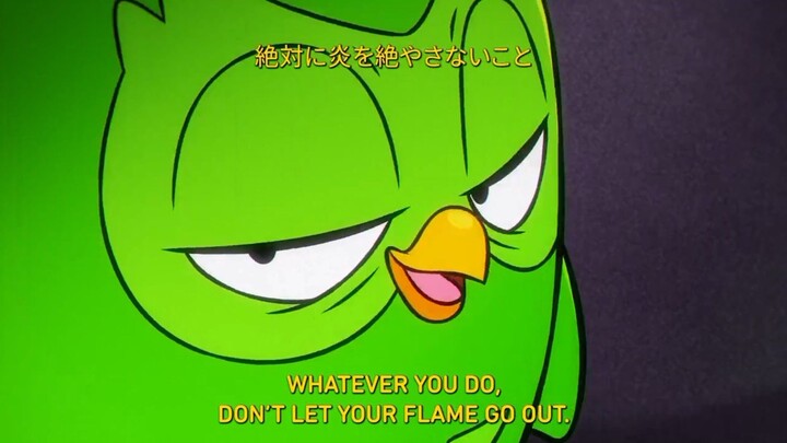 Duolingo Jadi Anime?! Burung Hantu Ini Bikin Lo Nggak Bisa Skip Belajar Lagi!!