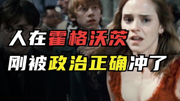 "罗琳就是个写小说的，她懂个屁的哈利波特"