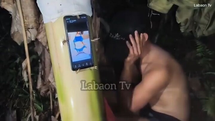 bisaya tumira ng puno ng saging