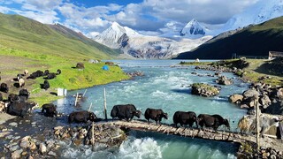 Nagqu, Tibet - เลื่อนรูปภาพใต้ภูเขา Sapu
