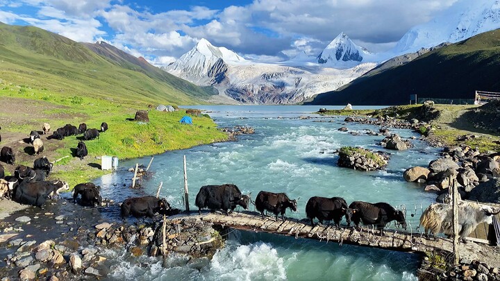 Nagqu, Tibet - เลื่อนรูปภาพใต้ภูเขา Sapu