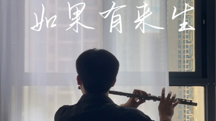 If There Is a Next Life, Flute