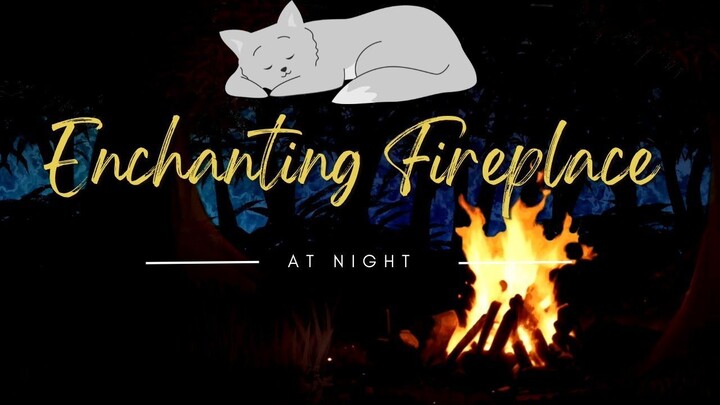 Enchanting Night Forest with Campfire | Crackling Fire Sound