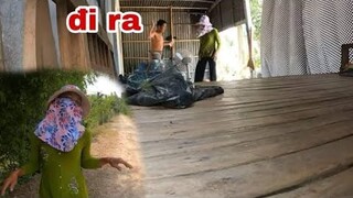 Tư Giả Gái Thử Lòng Chú Ba Cái Kết Cười Ra Nước Mắt