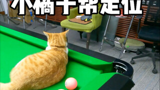 Tiểu Quýt giúp tôi di chuyển vị trí, kết thúc sẽ càng tuyệt vời hơn.