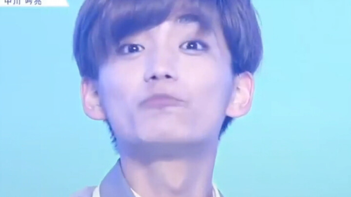 Suka adik anjing imut yang lembut dan manis kayak susu nggak?