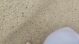 คุณภาพของทรายนี้ดีจริงๆ