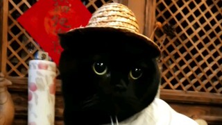 Thiên Tuế tức giận cũng đáng yêu quá đi thôi!