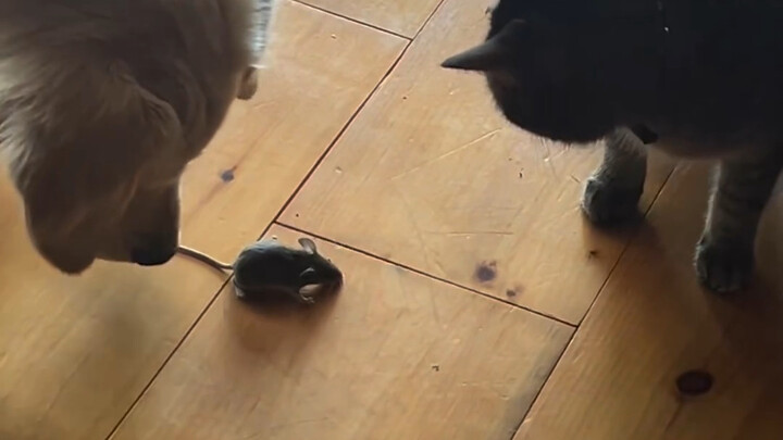 สองคนนี้ต้องโกหกในเรซูเม่แน่ๆ!!!